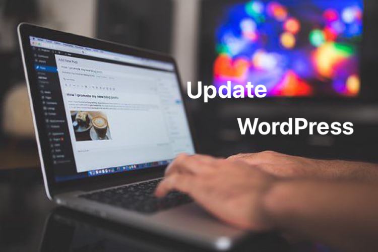 update WordPress